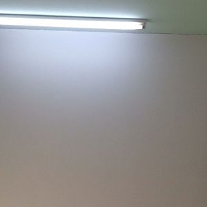 Meet your Posher, Thomasine